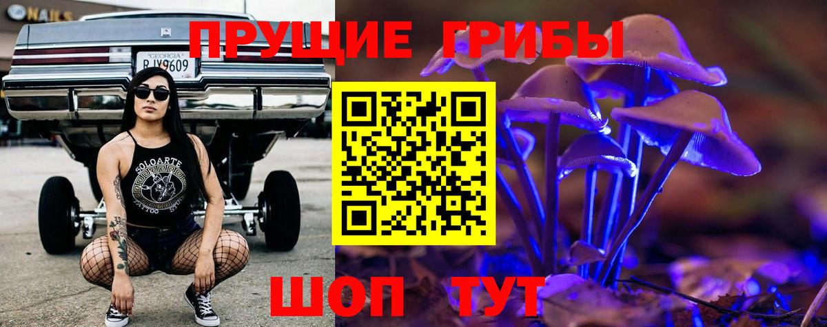 Галлюциногенные грибы Psilocybe  Вход с VPN  Кувандык 